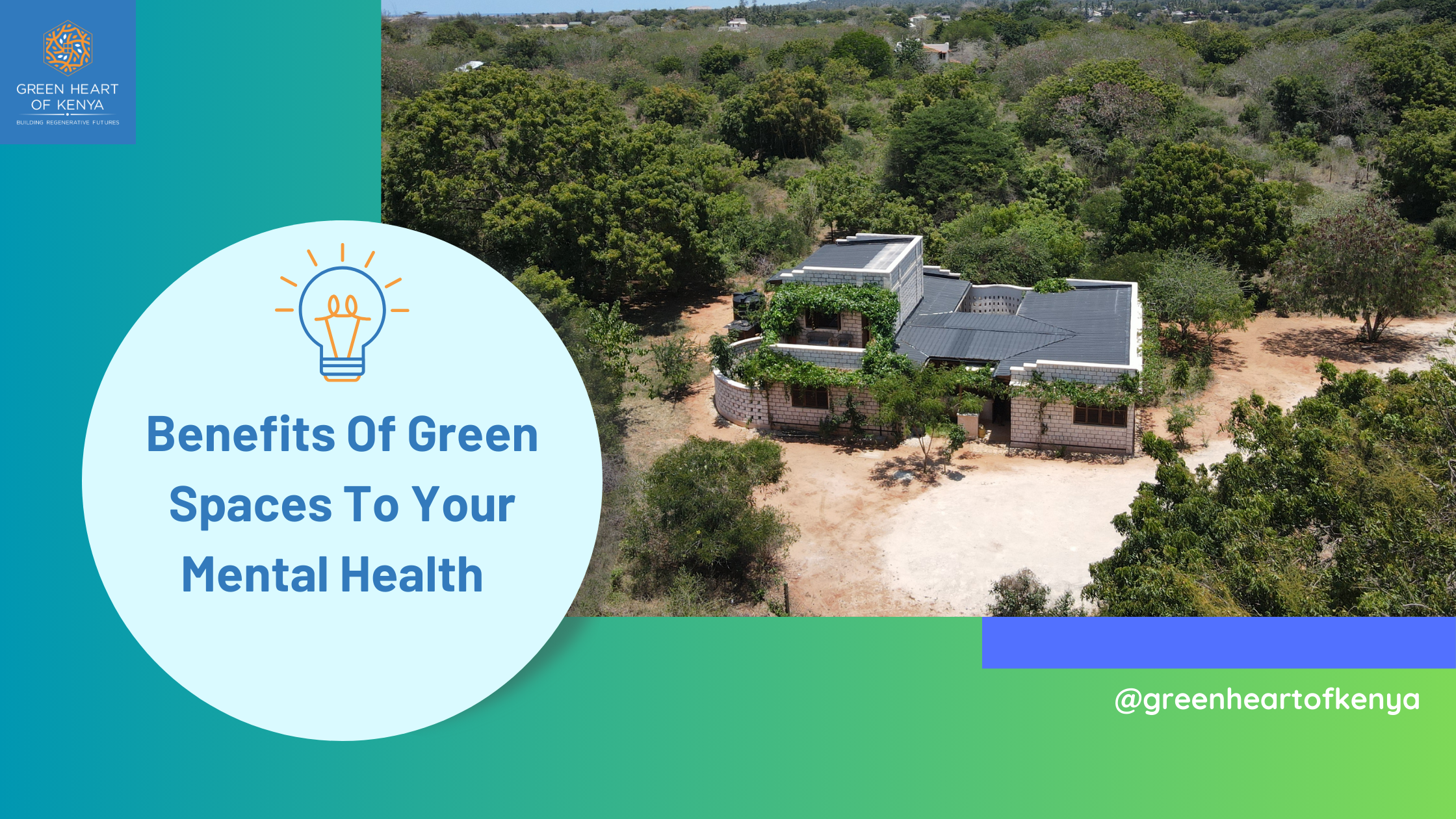 Benefits of green living to your mental health